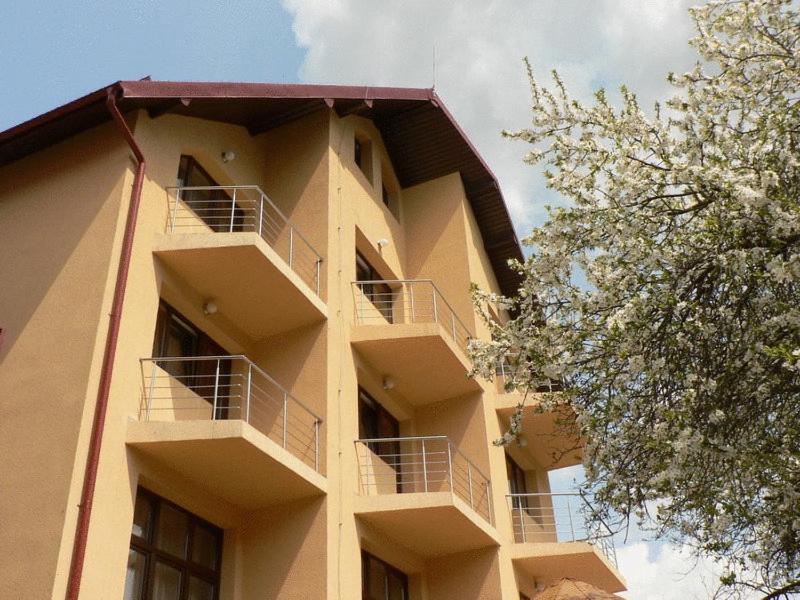 Flora Alpina Hotel Azuga Exterior photo