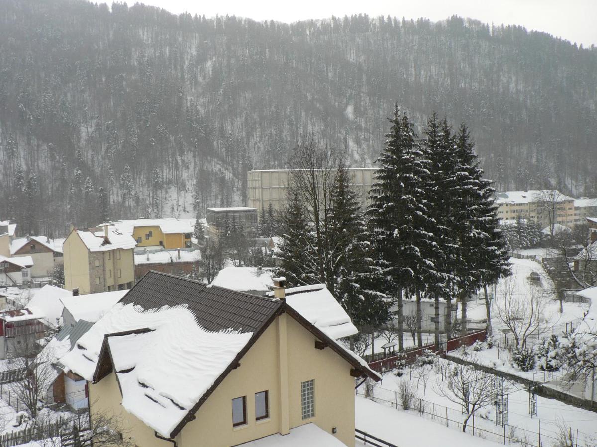 Flora Alpina Hotel Azuga Exterior photo